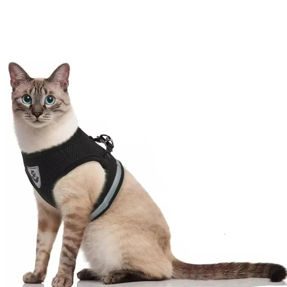 Harnais Pour Chat