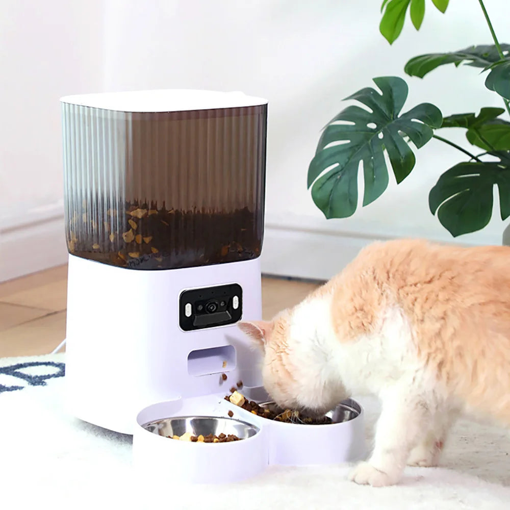 Distributeur Automatique De Croquettes Pour Chat