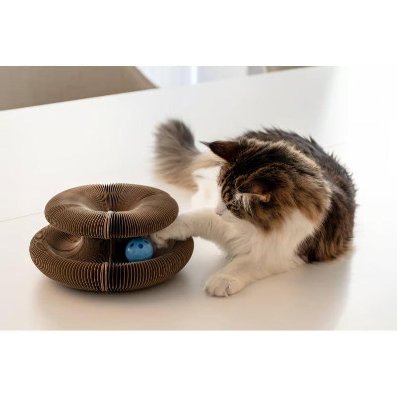 Griffoir Pour Chat Intéractif